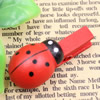 35mm Wood Cute cartoon Ladybug face wood clips for memo card clamp wooden paper pegs photo clamp Memo Note Clips Sold by PC
