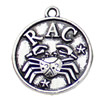Pendant. Fashion Zinc Alloy jewelry findings. Cancer 20x17mm. Sold by KG
