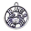 Pendant. Fashion Zinc Alloy jewelry findings. Cancer 20x17mm. Sold by KG