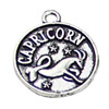 Pendant. Fashion Zinc Alloy jewelry findings. Caoricom 20x17mm. Sold by KG
