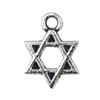 Pendant. Fashion Zinc Alloy jewelry findings. Star 12x9mm. Sold by KG

