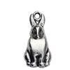 Pendant. Fashion Zinc Alloy jewelry findings. Animal 25x12mm. Sold by KG