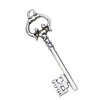 Pendant. Fashion Zinc Alloy jewelry findings. Key 67x19mm. Sold by KG
