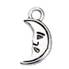 Pendant. Fashion Zinc Alloy jewelry findings. Moon 14x6mm. Sold by KG
