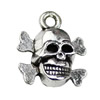 Pendant. Fashion Zinc Alloy jewelry findings. Skeleton 15x12.5mm. Sold by KG
