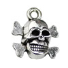 Pendant. Fashion Zinc Alloy jewelry findings. Skeleton 15x12.5mm. Sold by KG