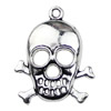 Pendant. Fashion Zinc Alloy jewelry findings. Skeleton 25x21mm. Sold by KG
