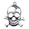 Pendant. Fashion Zinc Alloy jewelry findings. Skeleton 25x21mm. Sold by KG