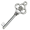 Pendant. Fashion Zinc Alloy jewelry findings. Key 53x19mm. Sold by KG