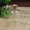 Small Tiny Clear Empty Wishing Drift Glass mini cute Bottle Message Vial With Cork Stopper 30x55mm Height 55mm Sold by PC
