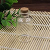 Small Tiny Clear Empty Wishing Drift Glass mini cute Bottle Message Vial With Cork Stopper 30x55mm Height 55mm Sold by PC